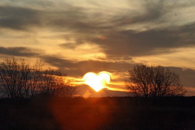 A heart-shaped sun setting behind a landscape with dark silhouettes of trees against a gold and orange sky.