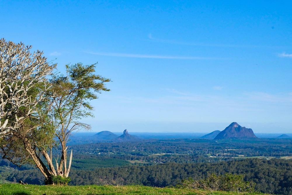 There Is A Tree In The Foreground And A Mountain In The Background — Australian Sandstone Products In Maleny, QLD