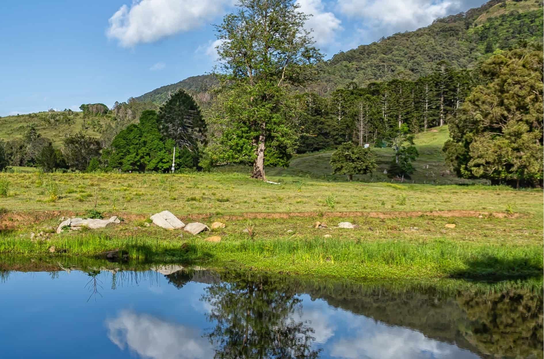 There Is A Pond In The Middle Of A Field With Trees In The Background — Australian Sandstone Products In Canungra, QLD