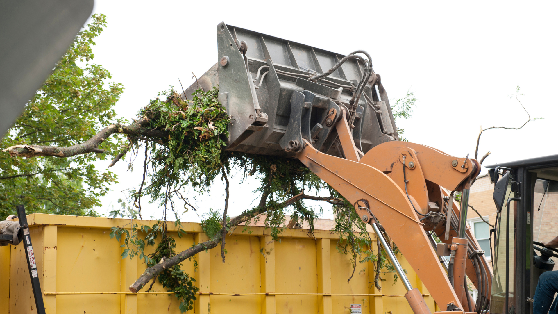 Orange excavator loading branches into a yellow truck at a construction site