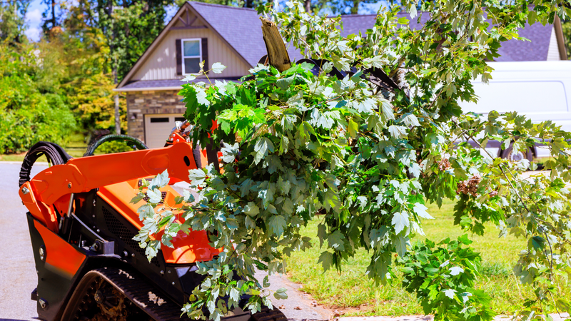 Orange excavator lifting a leafy tree branch in a suburban yard with a house in the background