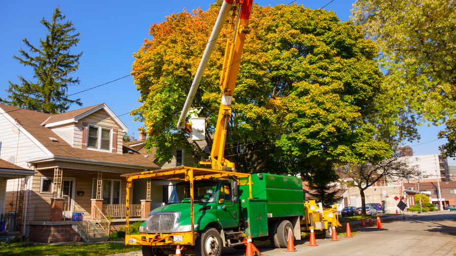 Utility truck with raised crane trimming a large tree beside a house on a sunny street