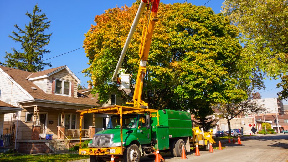 Utility truck with raised crane trimming a large tree beside a house on a sunny street