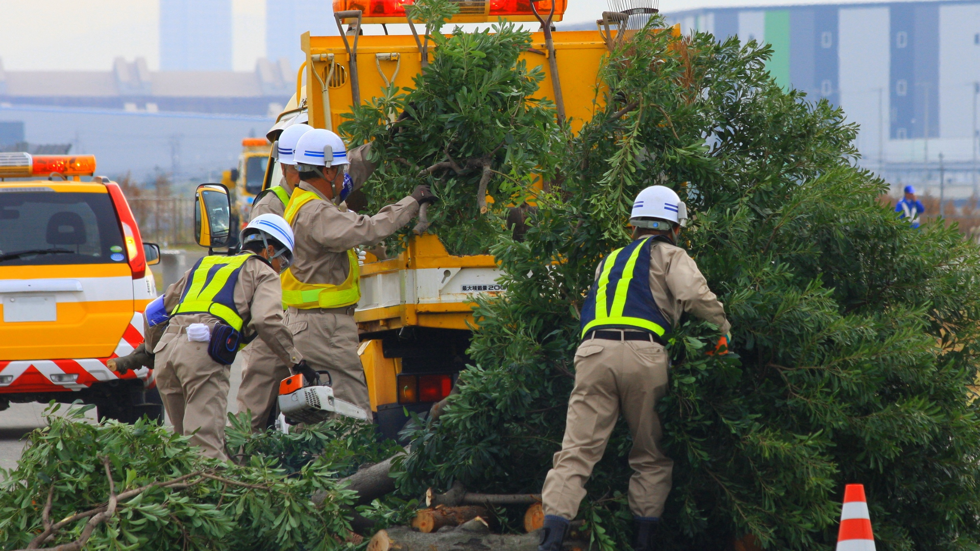 Workers in reflective vests clearing fallen tree branches beside a yellow truck on a city street