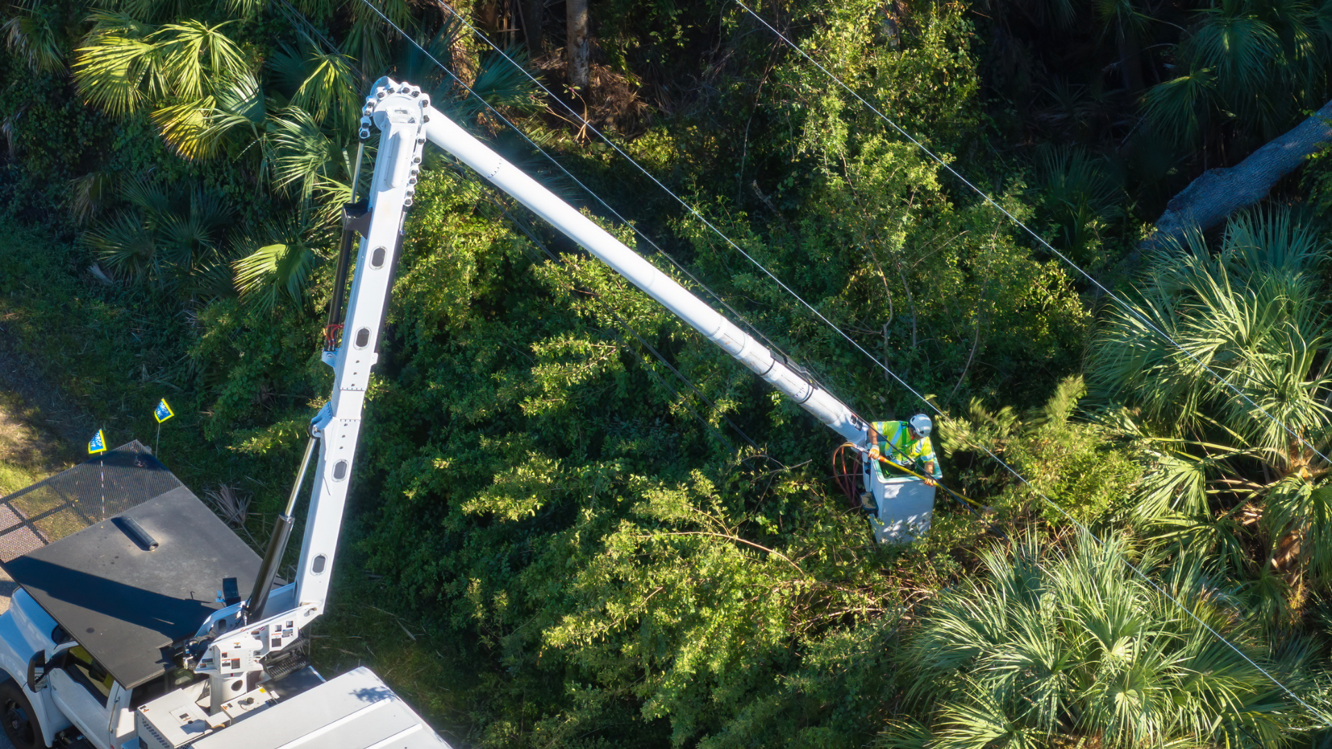 A white boom lift extends over dense green trees in a wooded area.
