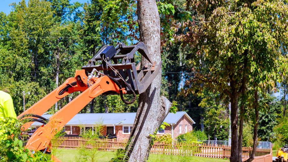 Orange excavator lifting a tree trunk in a yard near houses and trees