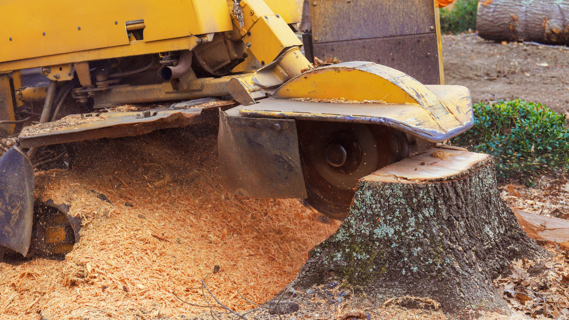 Yellow wood chipper ejecting a stream of wood chips onto the ground outdoors