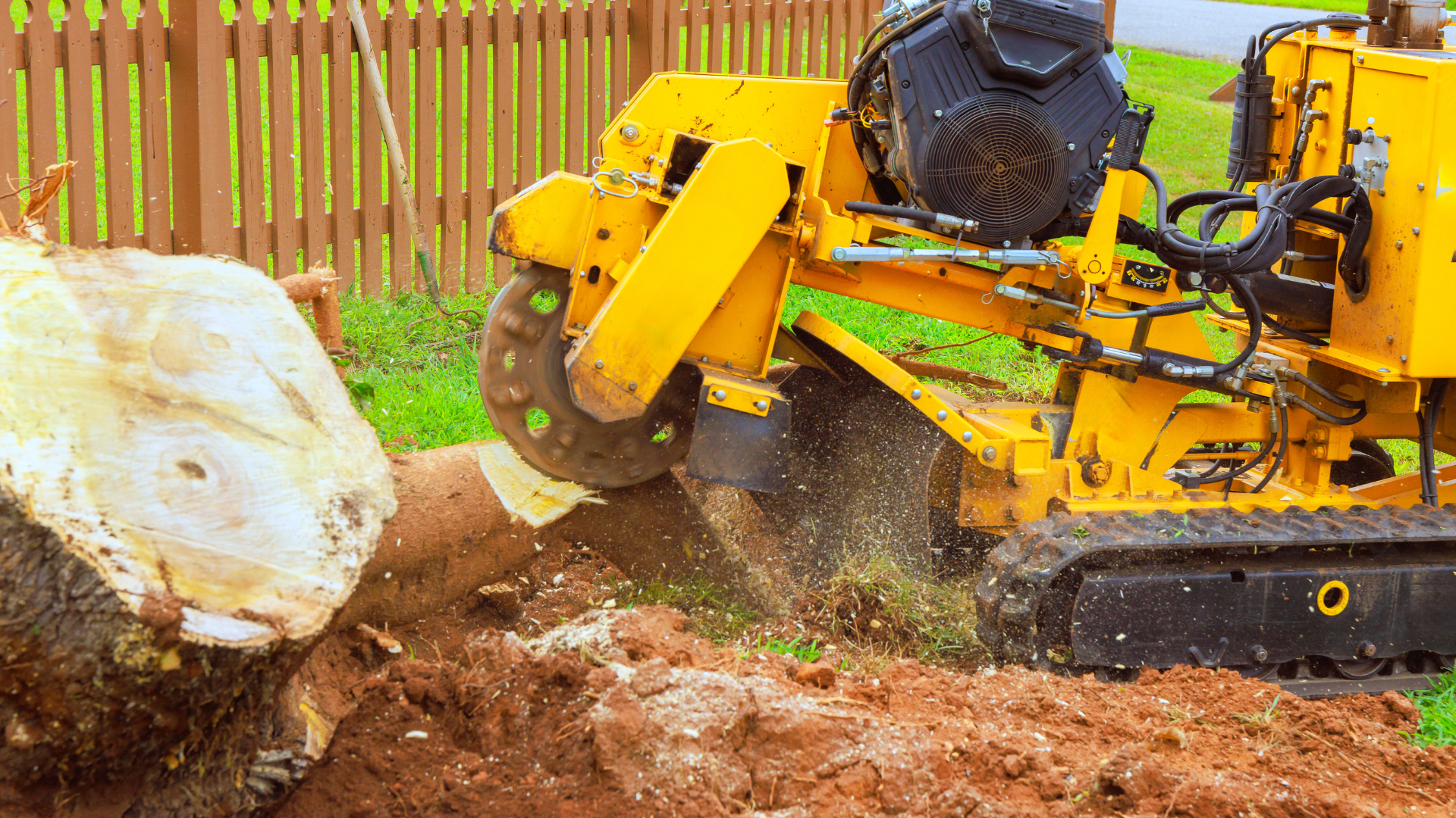 Yellow wood chipper grinding a large stump in a backyard, with dirt flying near a wooden fence