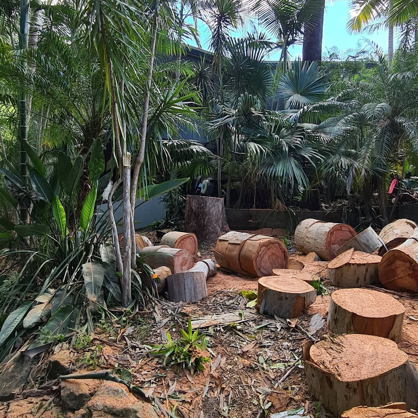 Emergency Storm Damage Sunshine Coast | Arborclimb Tree Removal