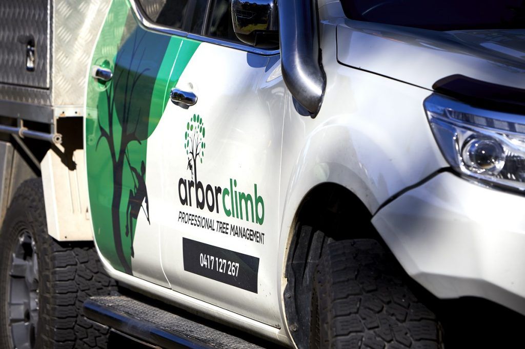 Tree Removal Sunshine Coast | Arborists & Tree Services | Arborclimb