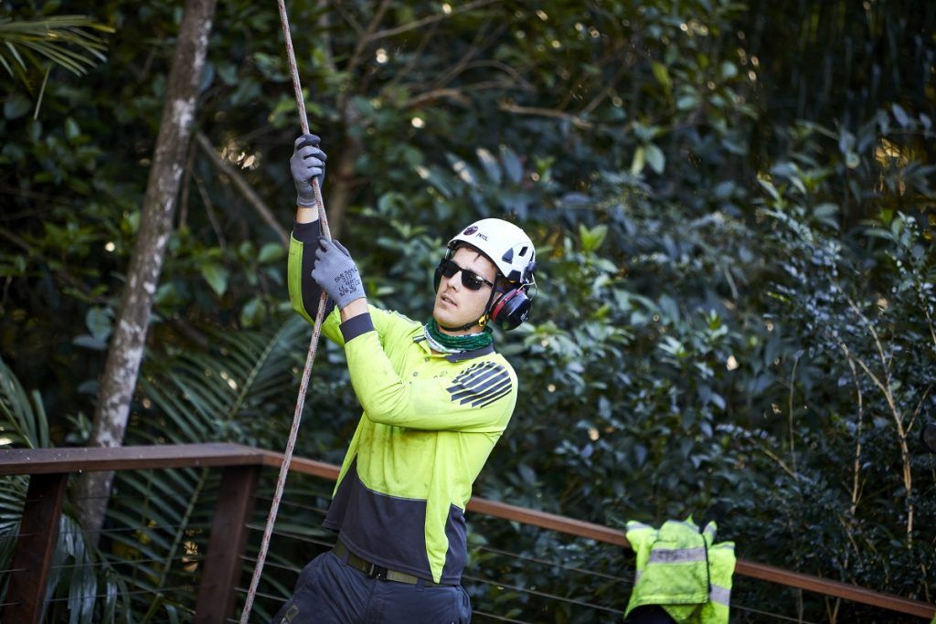 Tree Services Golden Beach | Arborclimb Tree Removal Sunshine Coast