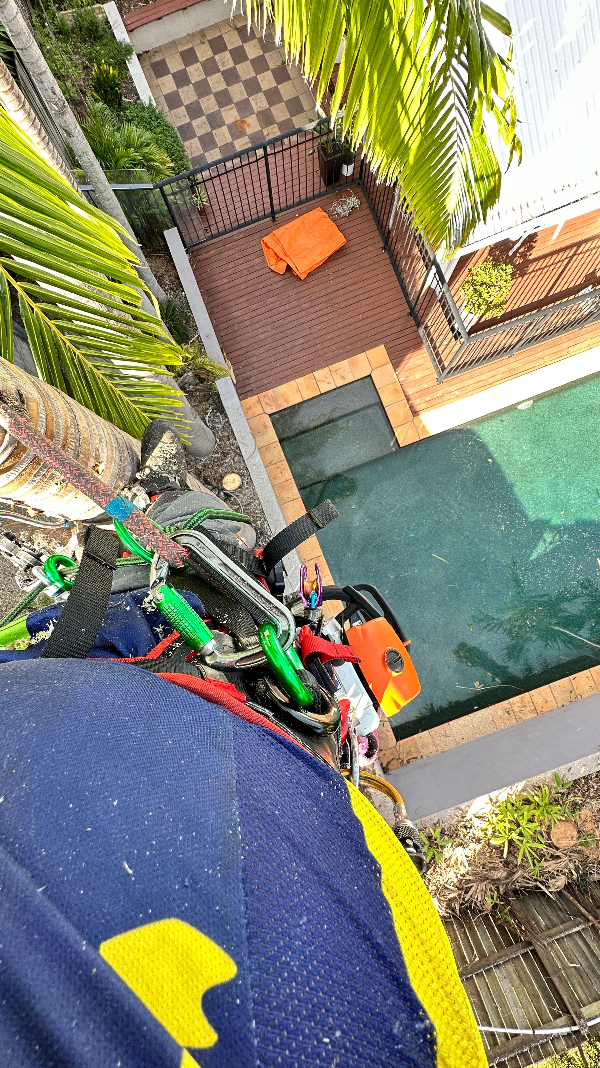Tree Removal Sunshine Coast | Arborists & Tree Services | Arborclimb