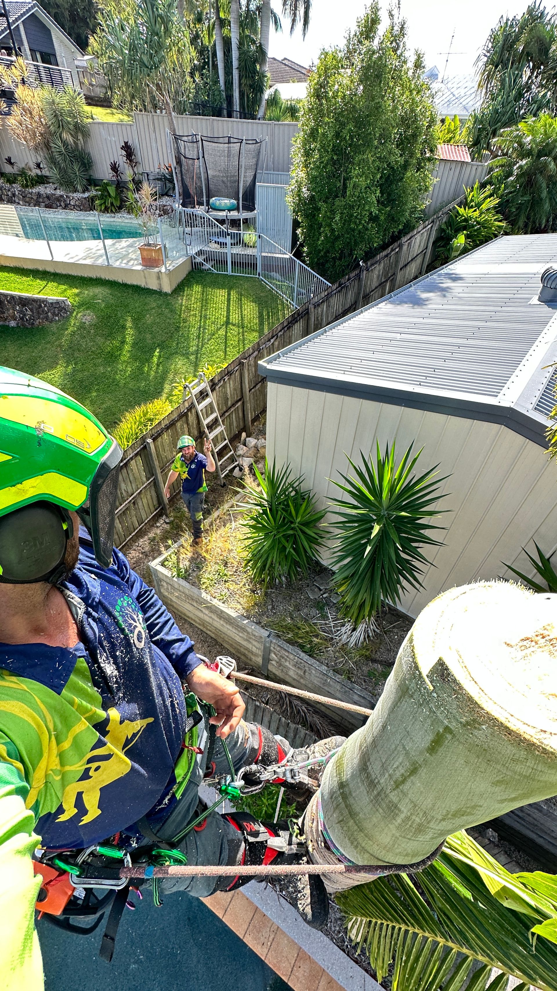 Contact Us | Arborclimb Tree Removal Sunshine Coast