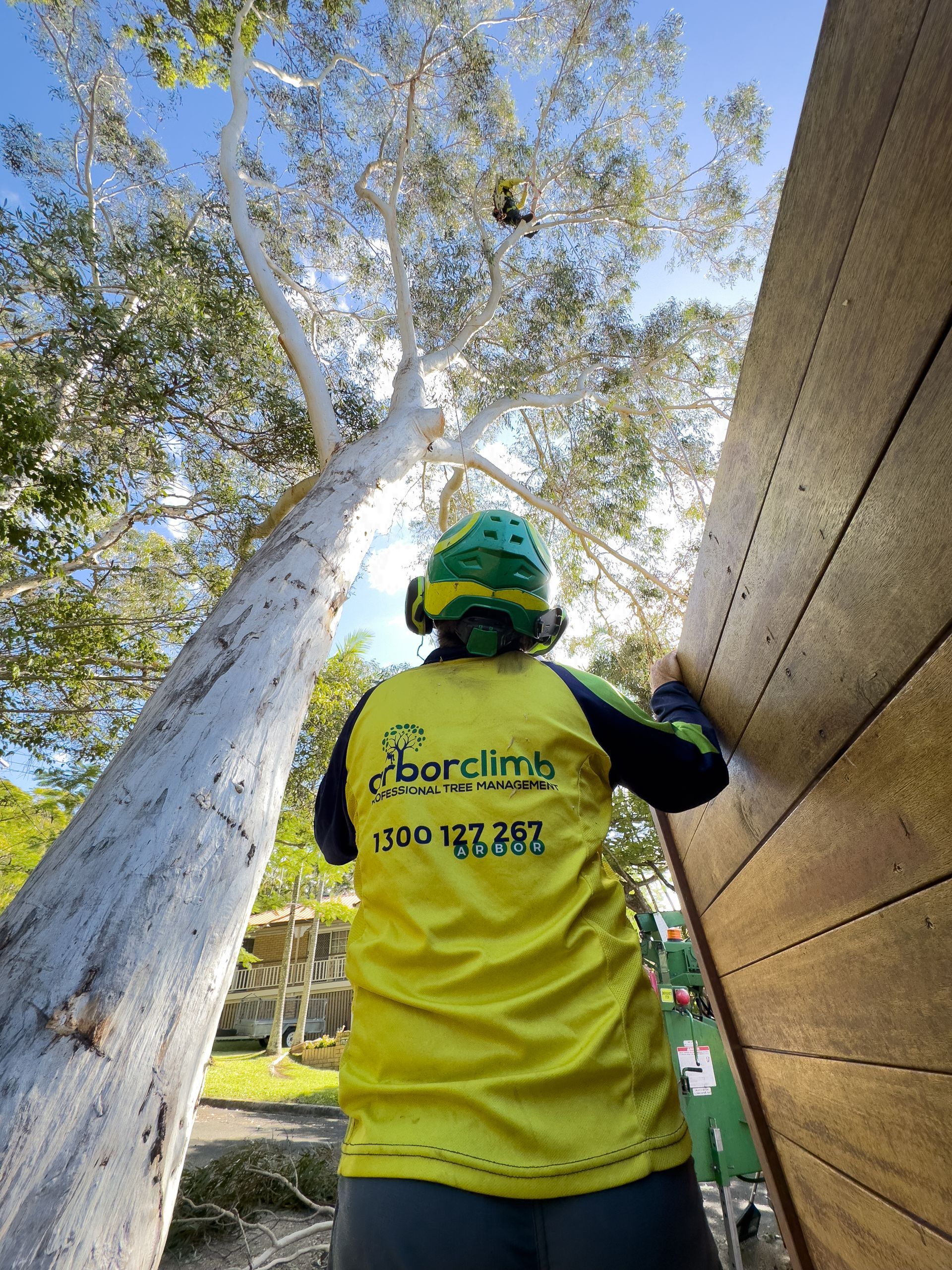 rAborist team— Arborist in Golden Beach , QLD