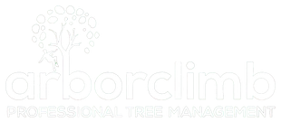 Arborclimb Tree Removal Sunshine Coast—Your Go-To Arborist on the Sunshine Coast