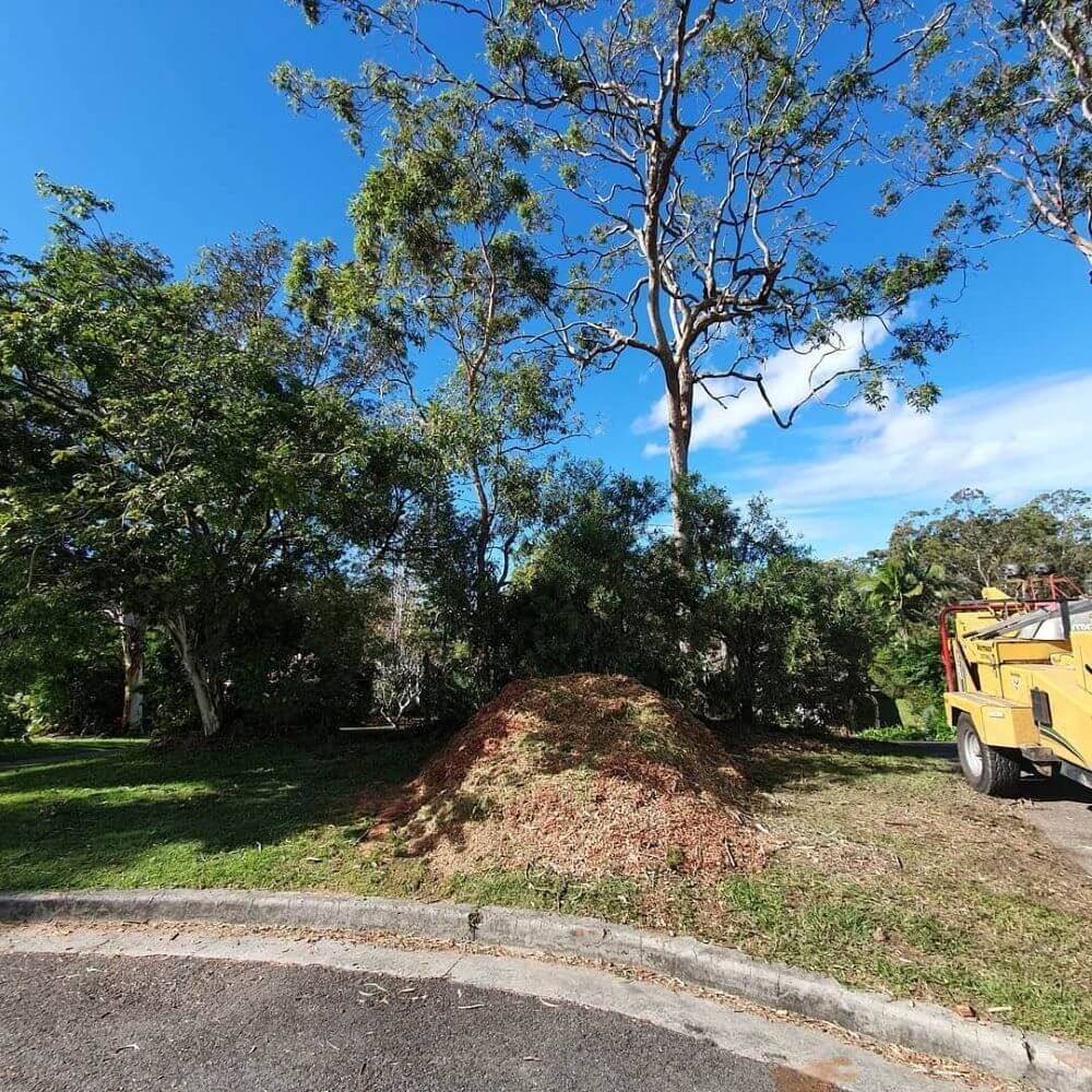 Mulching on the Sunshine Coast