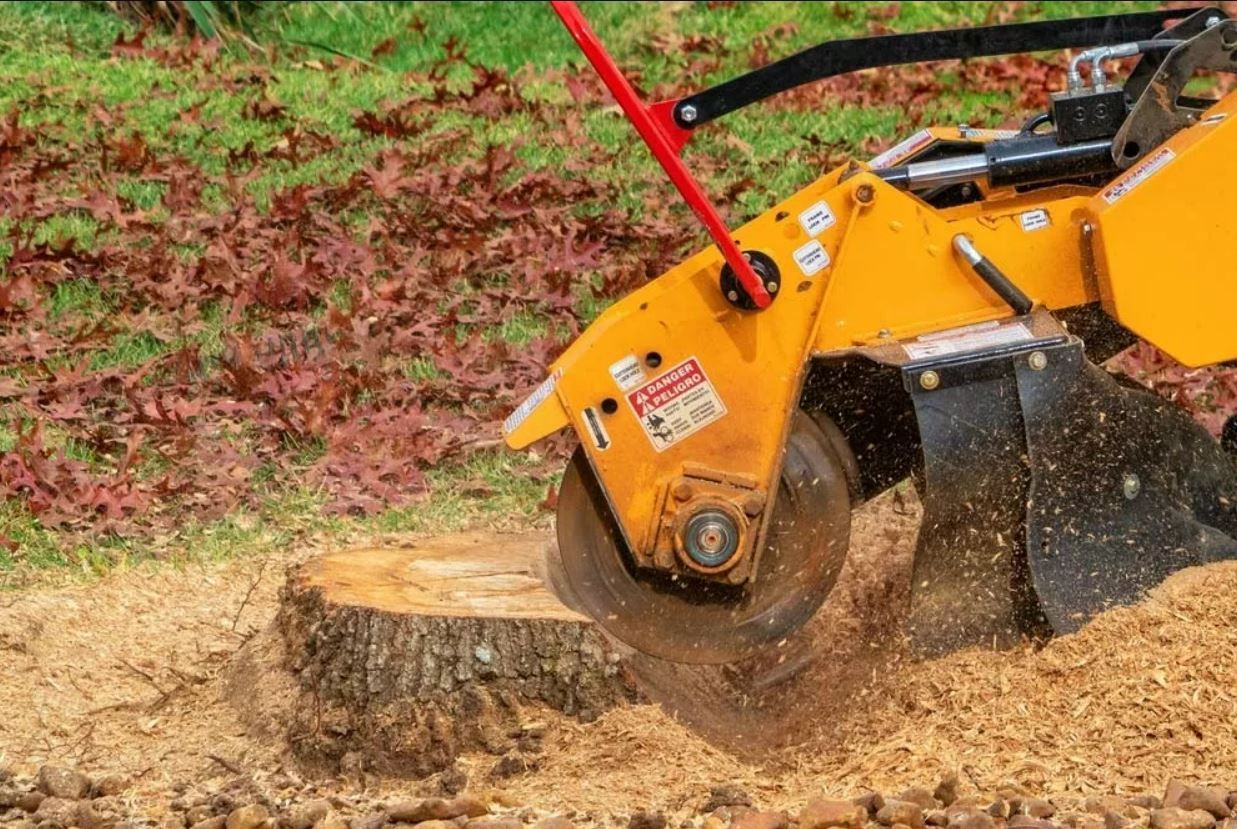 stump grinding