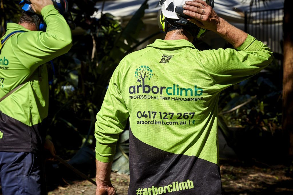 Professional Gardener Pruning a Tree — Arborist in Little Mountain, QLD