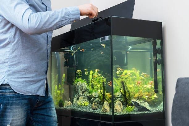 Aquarium Maintenance — Canonsburg, PA — Wet Pets and Friends