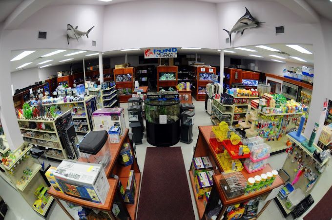 Shop Interior — Canonsburg, PA — Wet Pets and Friends Shop Interior — Canonsburg, PA — Wet Pets and Friends