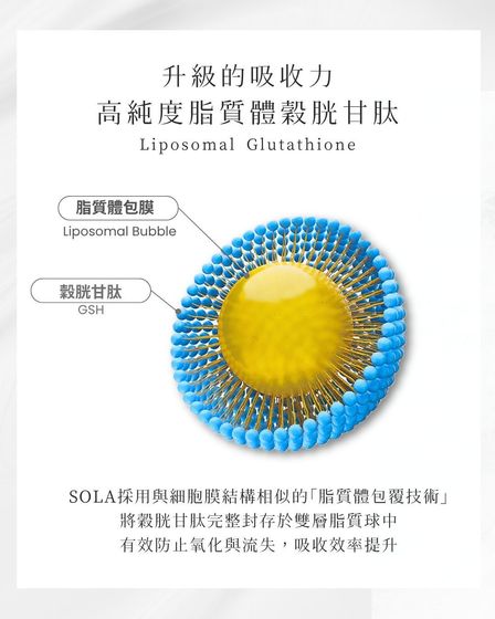 脂質體包膜高純度穀胱甘肽(Liposomal Glutathione)示意圖,說明以脂質體包覆技術提升穀胱甘肽吸收效率、減少氧化流失,並呈現 GSH 與脂質體結構。