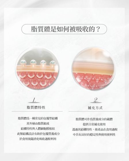 擬真細胞結構
外層由脂質構成,結構與人體細胞膜非常相似,能達到極佳的親膚與相容性。
專利包覆保護高吸收率一樣把營養成分完整包裹起來,避免活性成分在消化過程或胃酸中被破壞流失