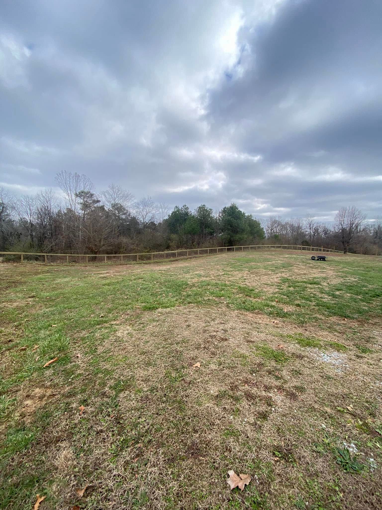 Grassy field with sparse vegetation under a cloudy sky. Trees line the horizon.
