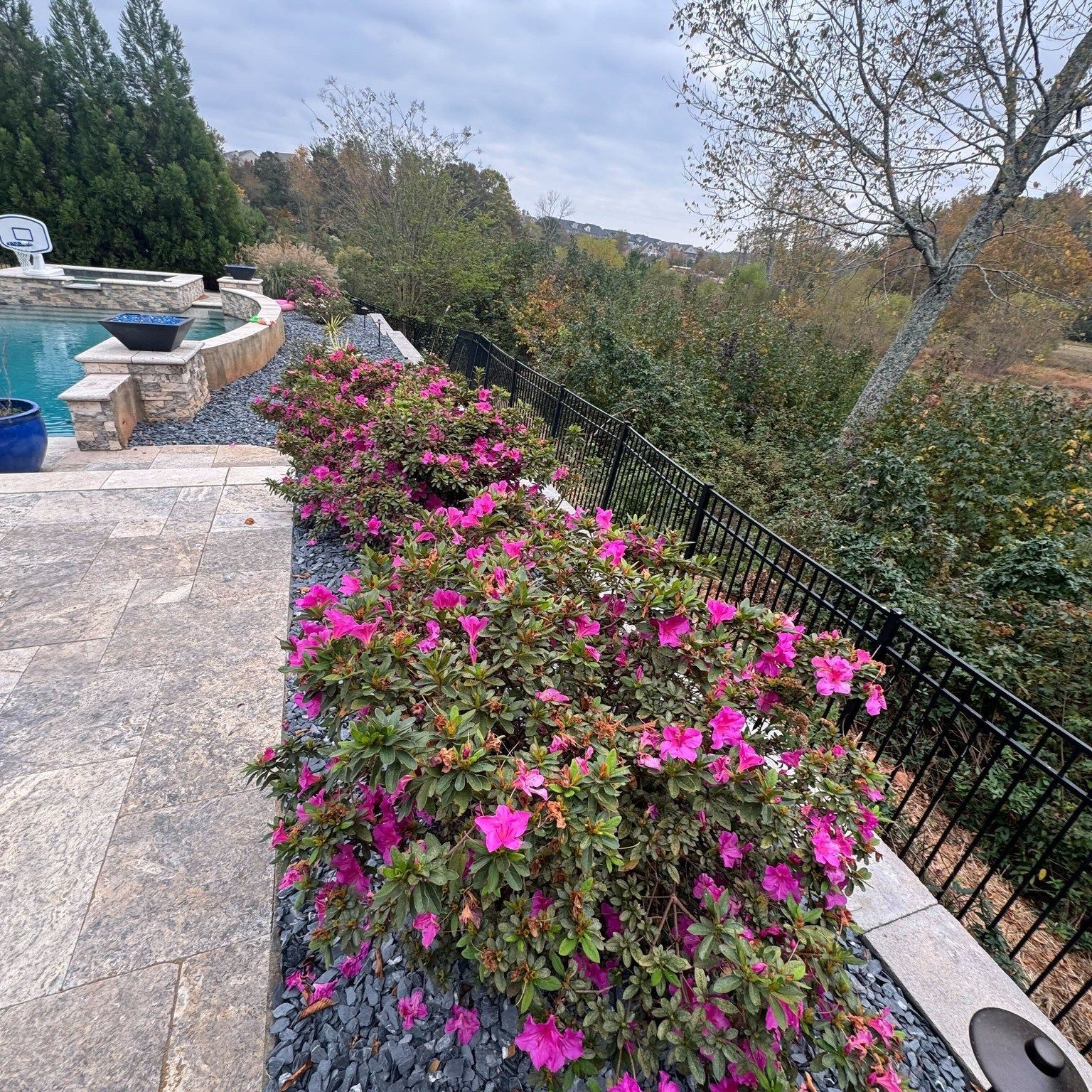 Stone patio with pink flowers, a pool, and a hillside garden view beyond a black fence