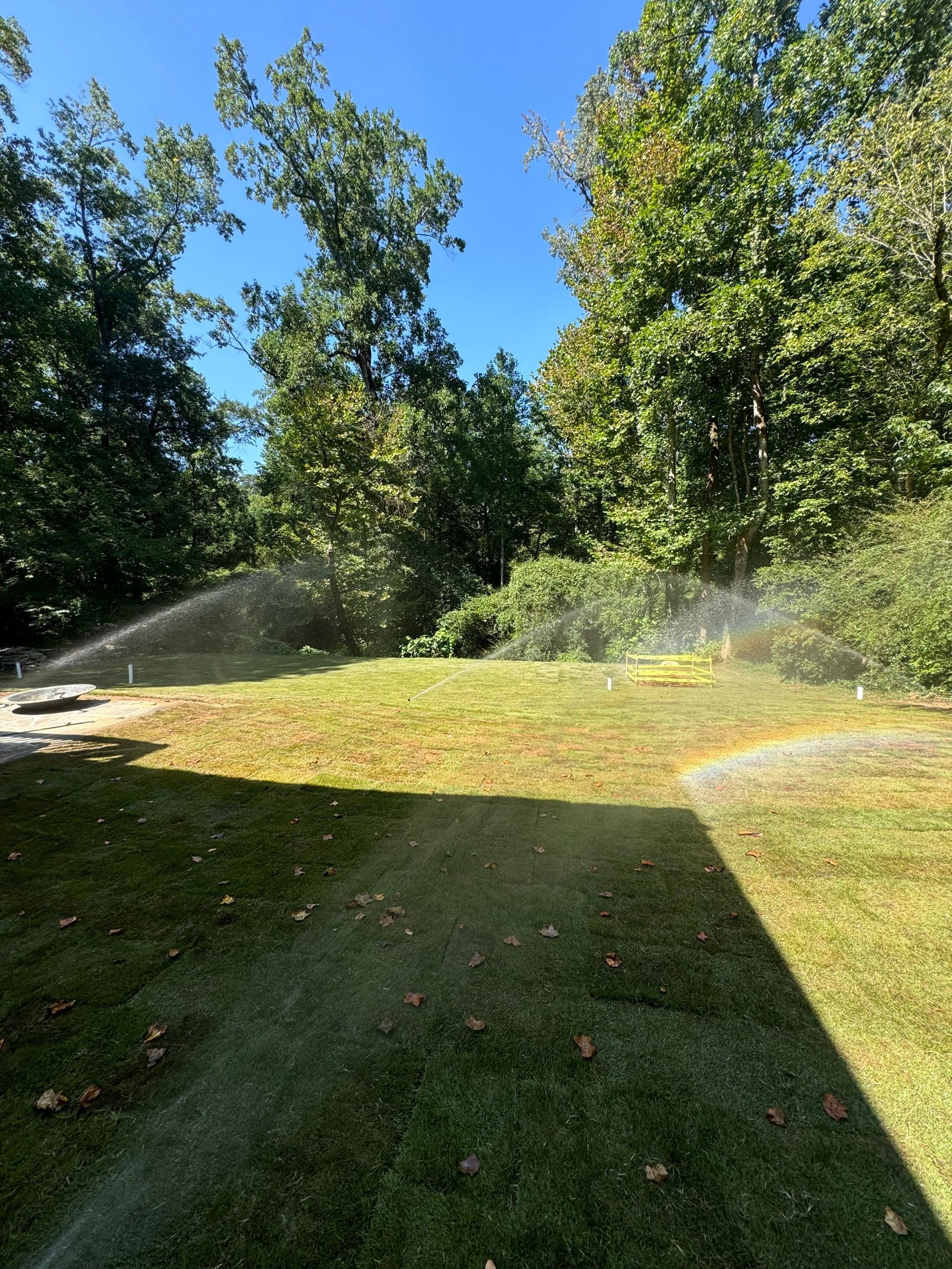 Sunlit backyard lawn with sprinklers spraying water near tall trees and a shaded foreground