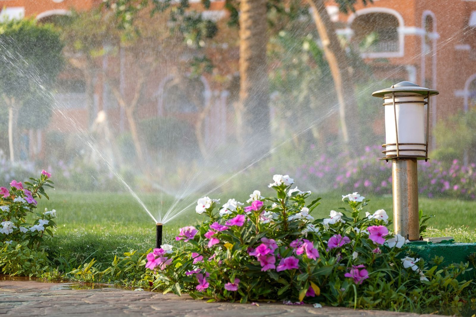 Garden sprinkler watering pink flowers beside a lit path lamp in a landscaped yard
