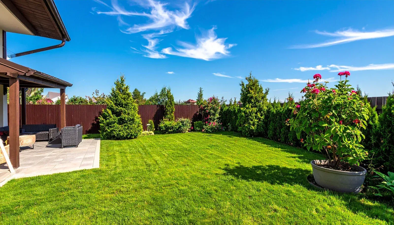 Sunny backyard with green lawn, patio seating, and potted flowers under a blue sky