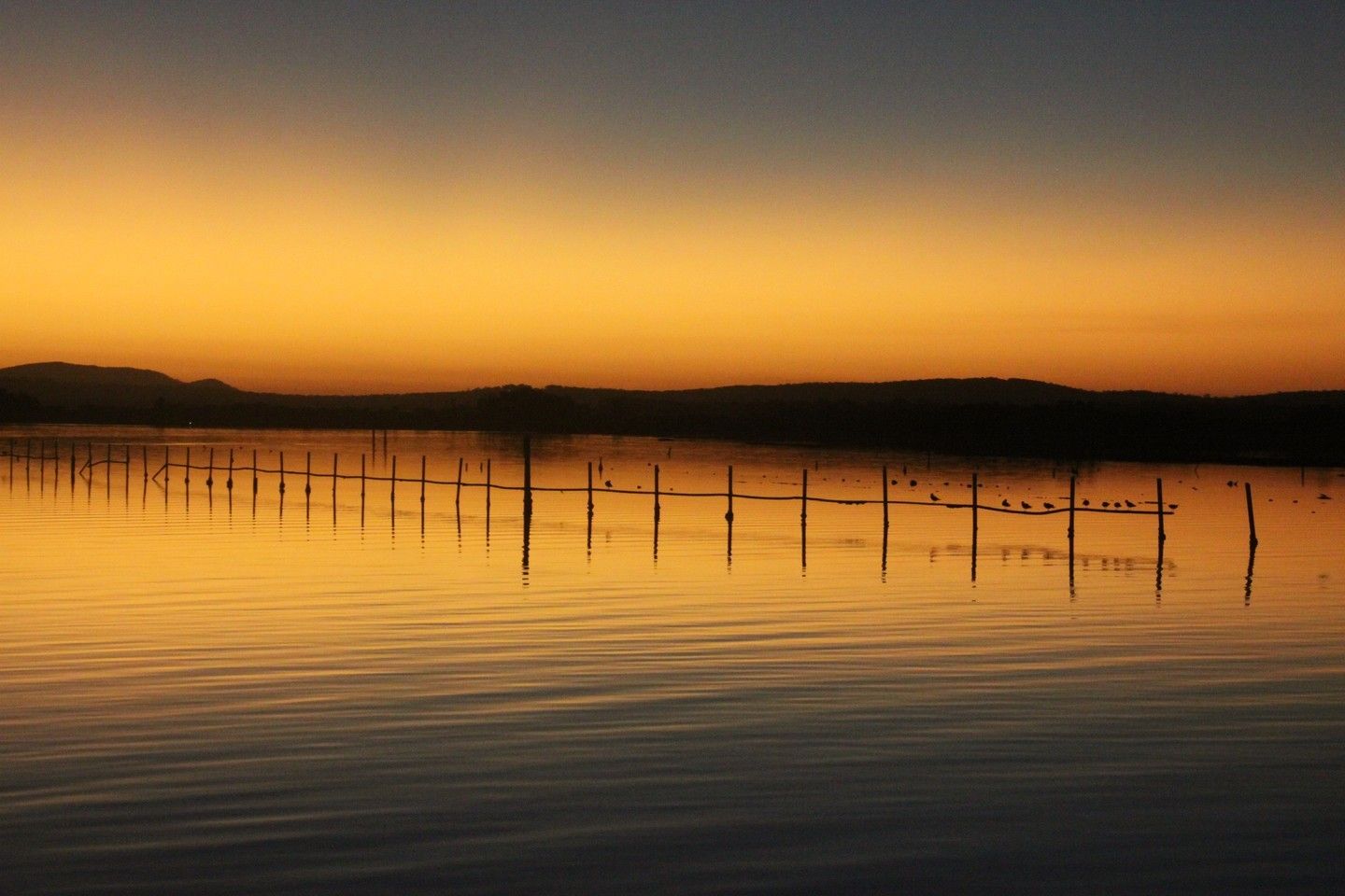 Golden sunset over calm water with posts in a row, silhouetted against the sky — YKnot Cruises in Nelson Bay, NSW