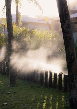 Sunlit lawn with mist or sprinkler spray between trees and short fence posts