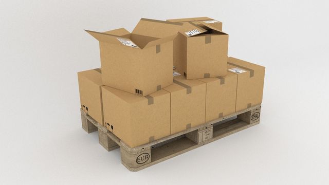 Kartonnen dozen opgestapeld op een houten pallet, ingepakt voor verzending of opslag.