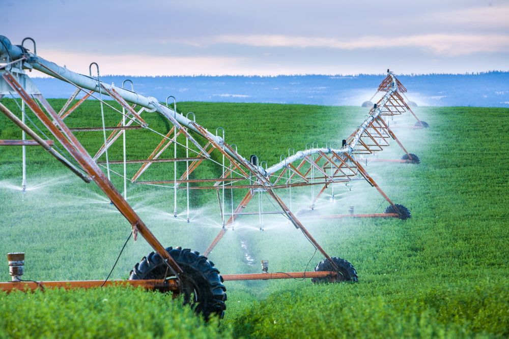 A Sprinkler Is Spraying Water On A Green Field — In Electrics In Cardwell, QLD