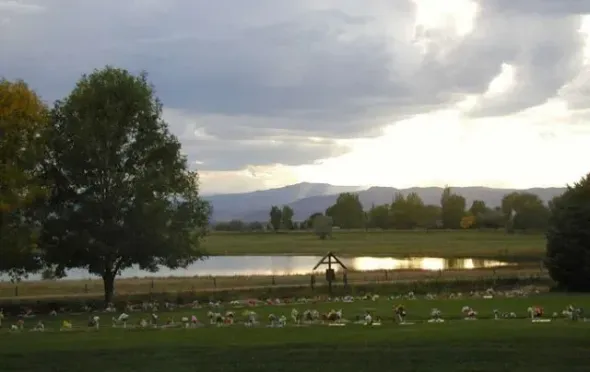 Scenic park by a pond at sunset, with a large tree, mountains, and ducks along the grassy shore.