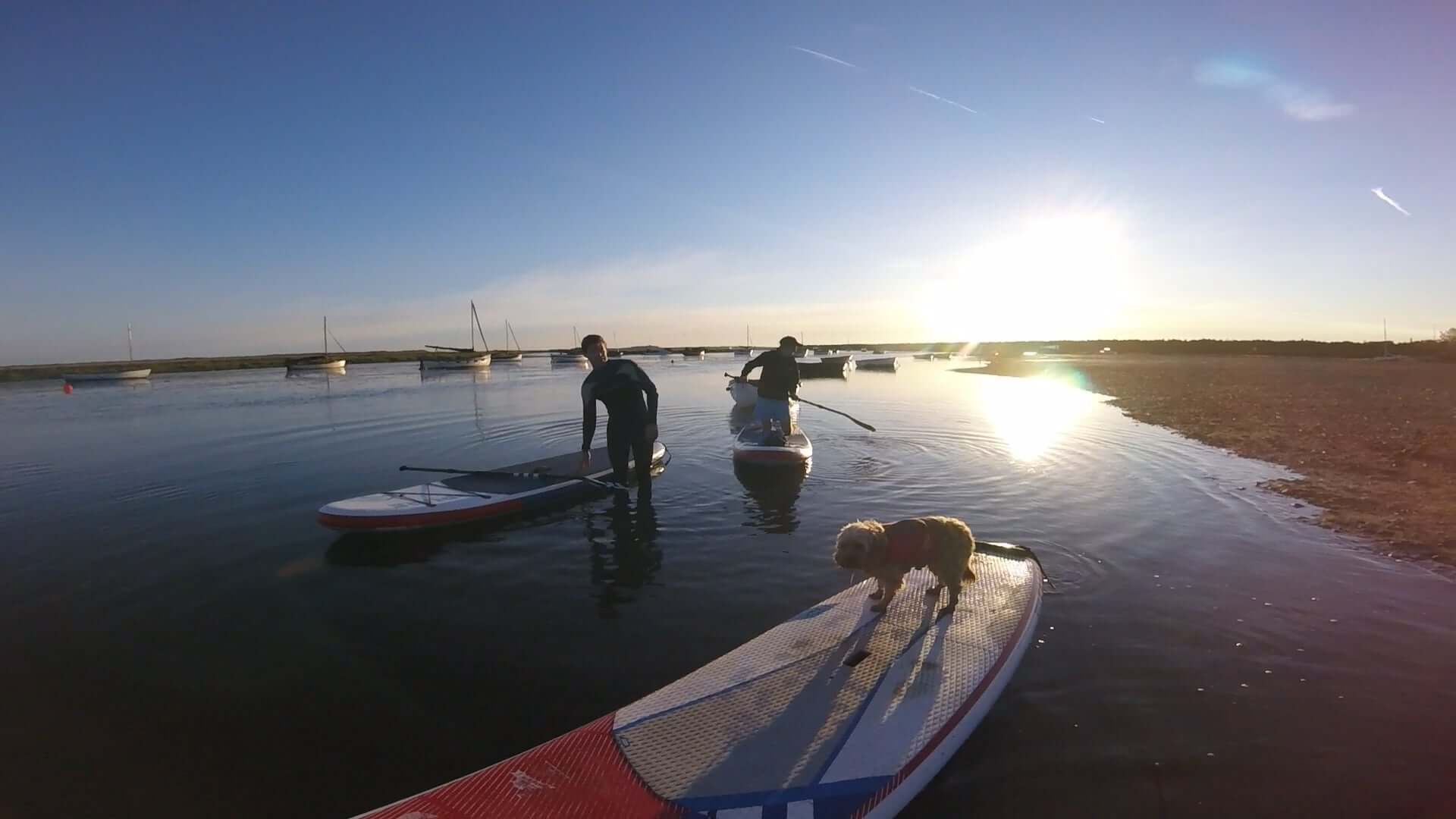 morning guided tour in Burnham Overy Staithe