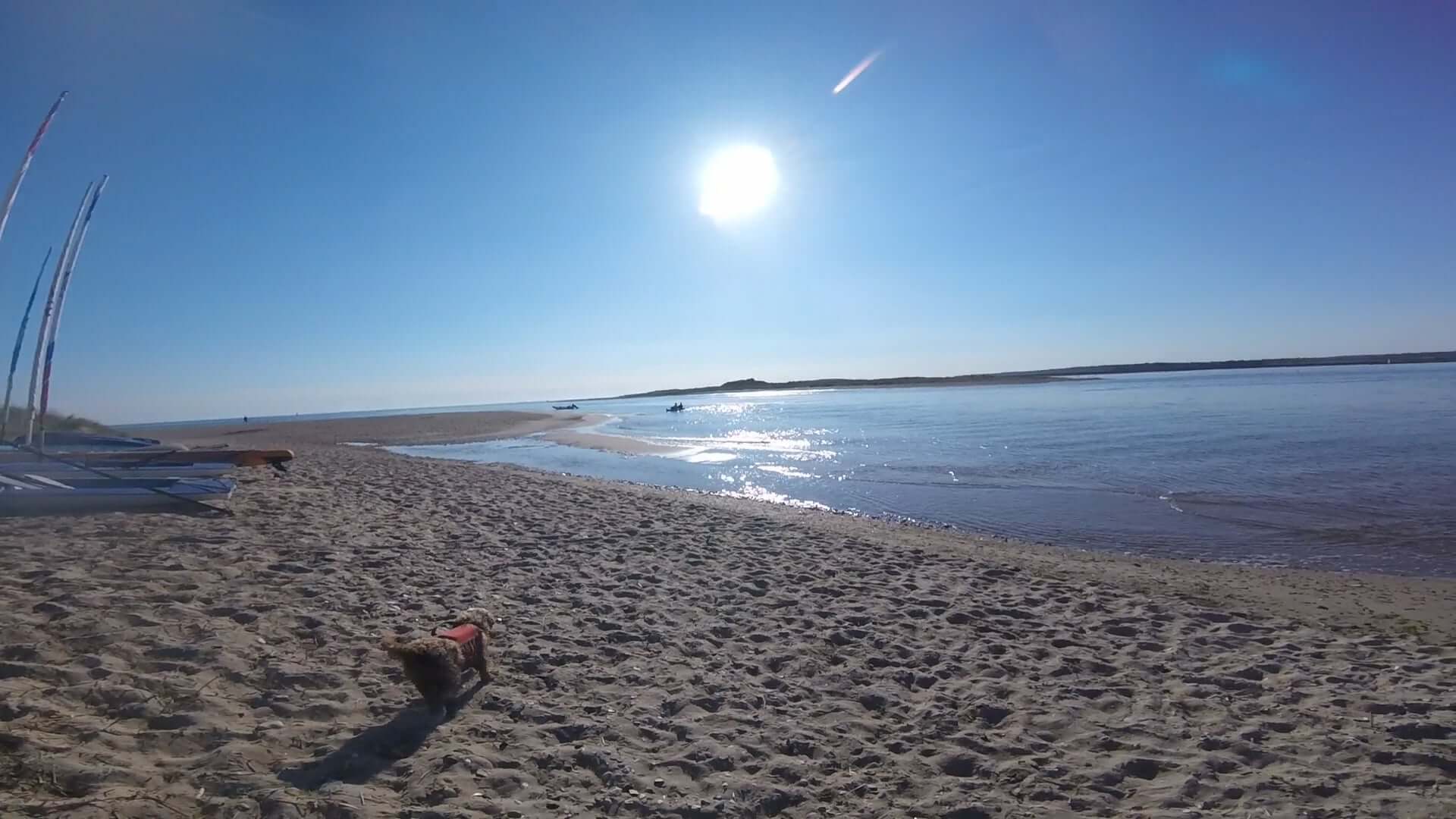 scoot head island