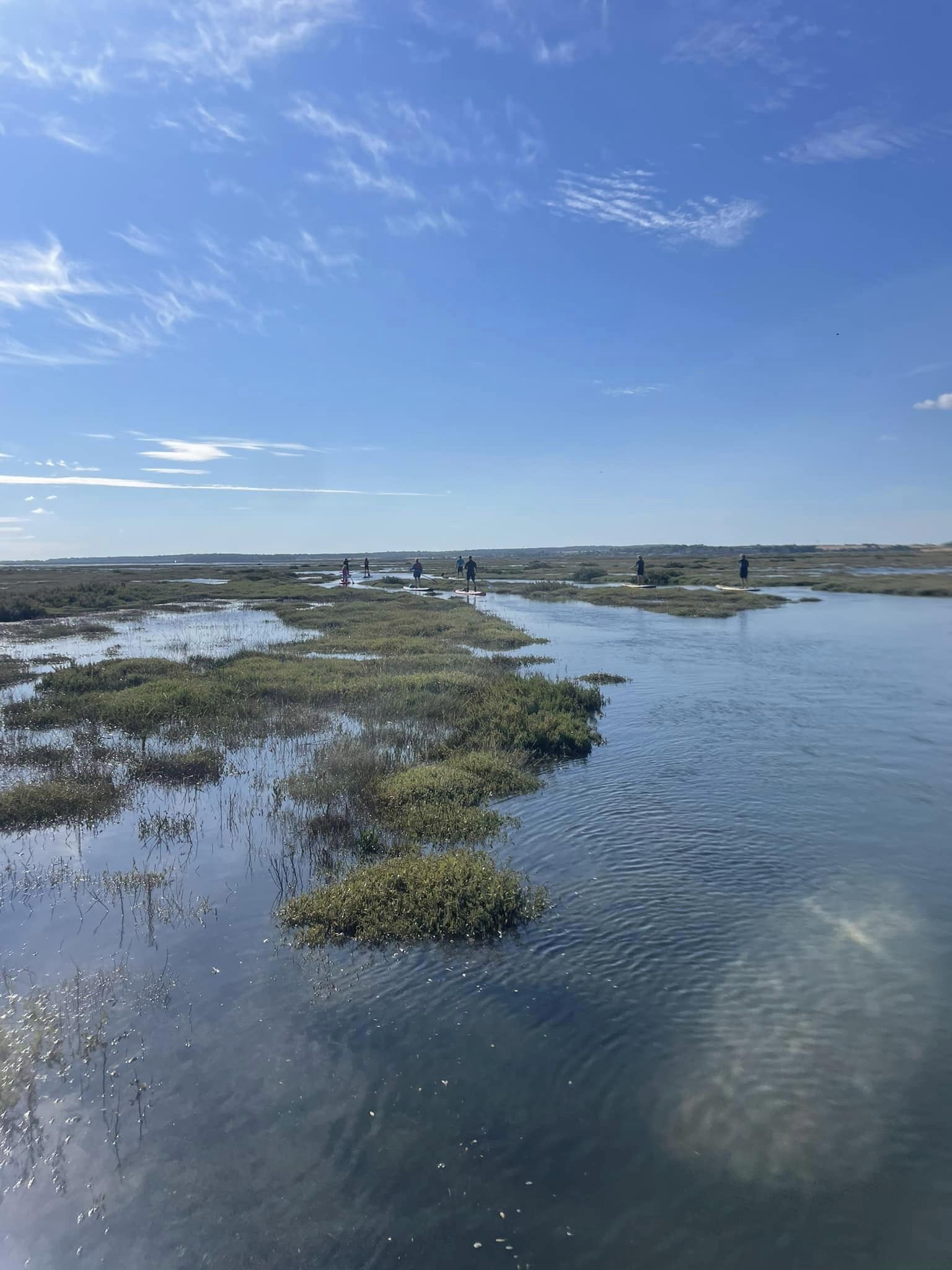 Salt Marsh Paddle boarding
