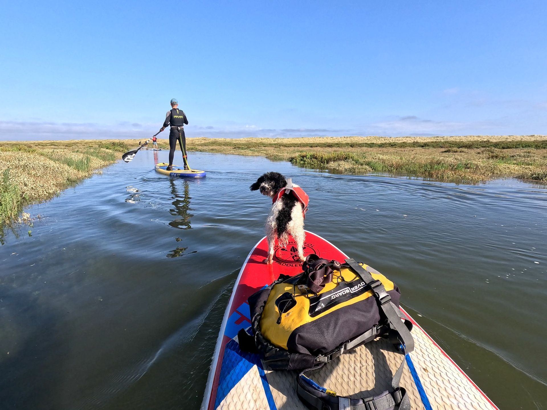 Paddle boarding in Burnham Overy Staithe with Flossie the sup pup 