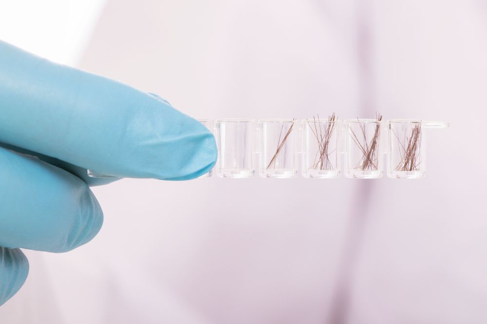 Gloved hand holding a clear plastic container with several strands of brown hair, likely for analysis — DAB Services in Cannonvale, QLD