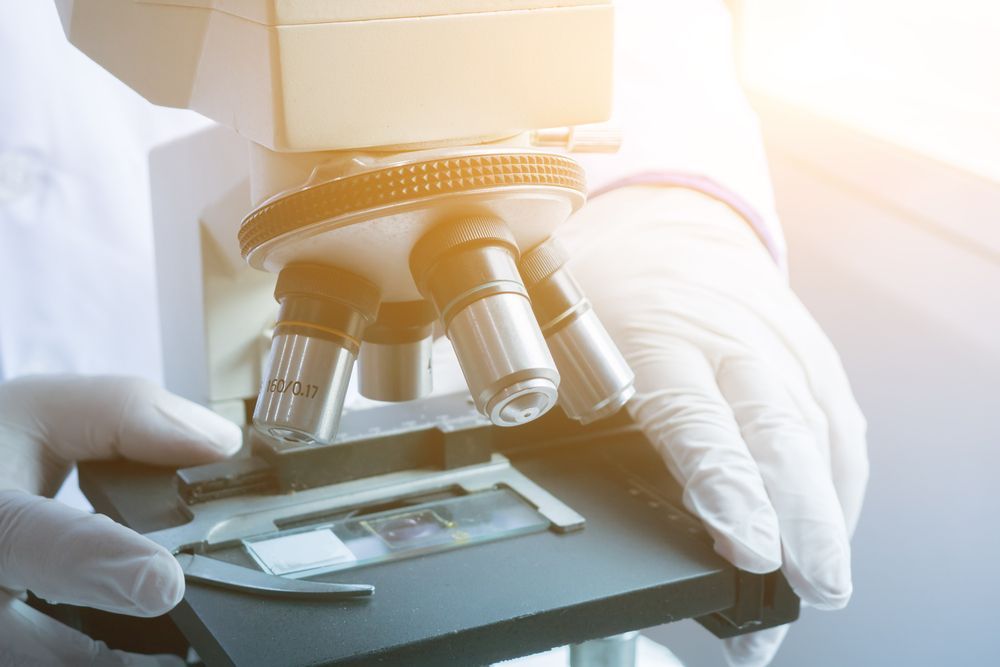 Person in Lab Coat and Gloves Using a Microscope to Examine a Slide — DAB Services in Bowen, QLD