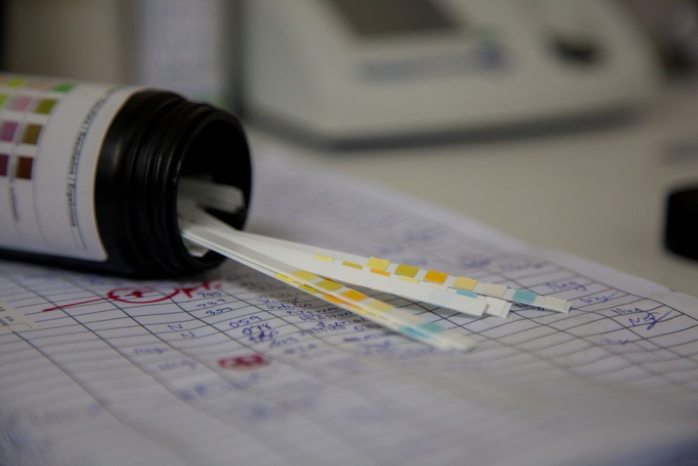 Gloved Hand Holding a Blood Sample in a Capped Test Tube — DAB Services in Cannonvale, QLD