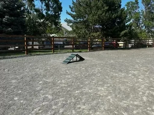 Dog agility training area with a ramp, gravel ground, and wooden fence.