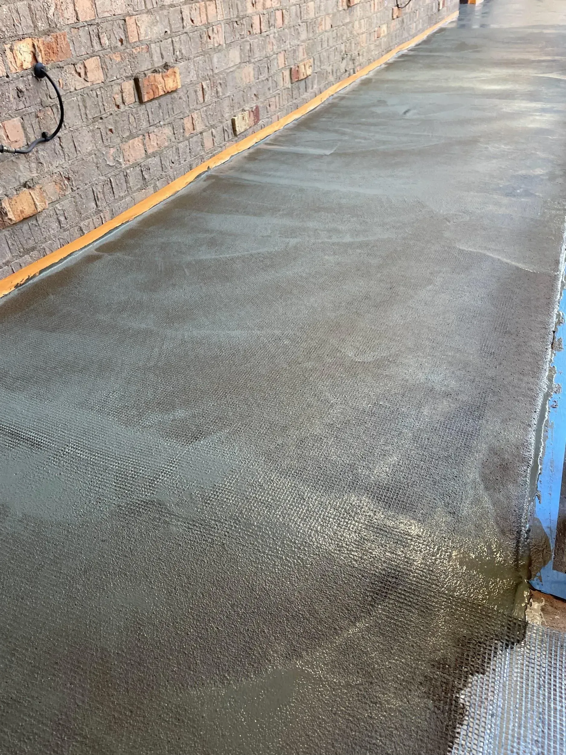 Wet concrete walkway next to a brick wall.