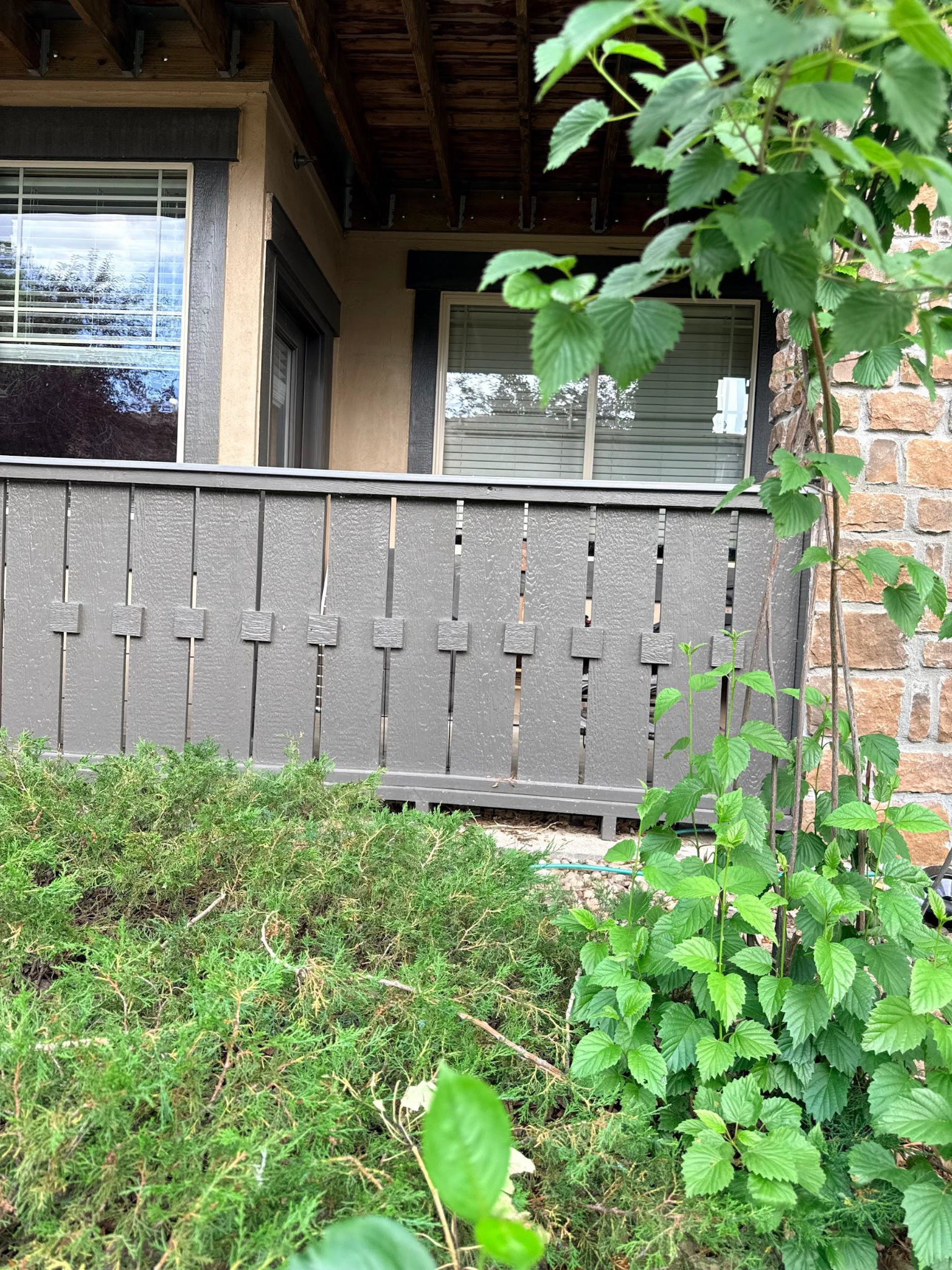 Gray wooden fence in front of house windows, with green foliage and grass in the foreground
