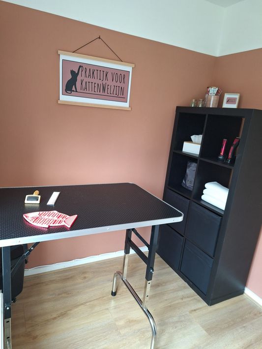 Kattentrimsalon aan huis voor het kat- en vachtvriendelijk trimmen van katten.