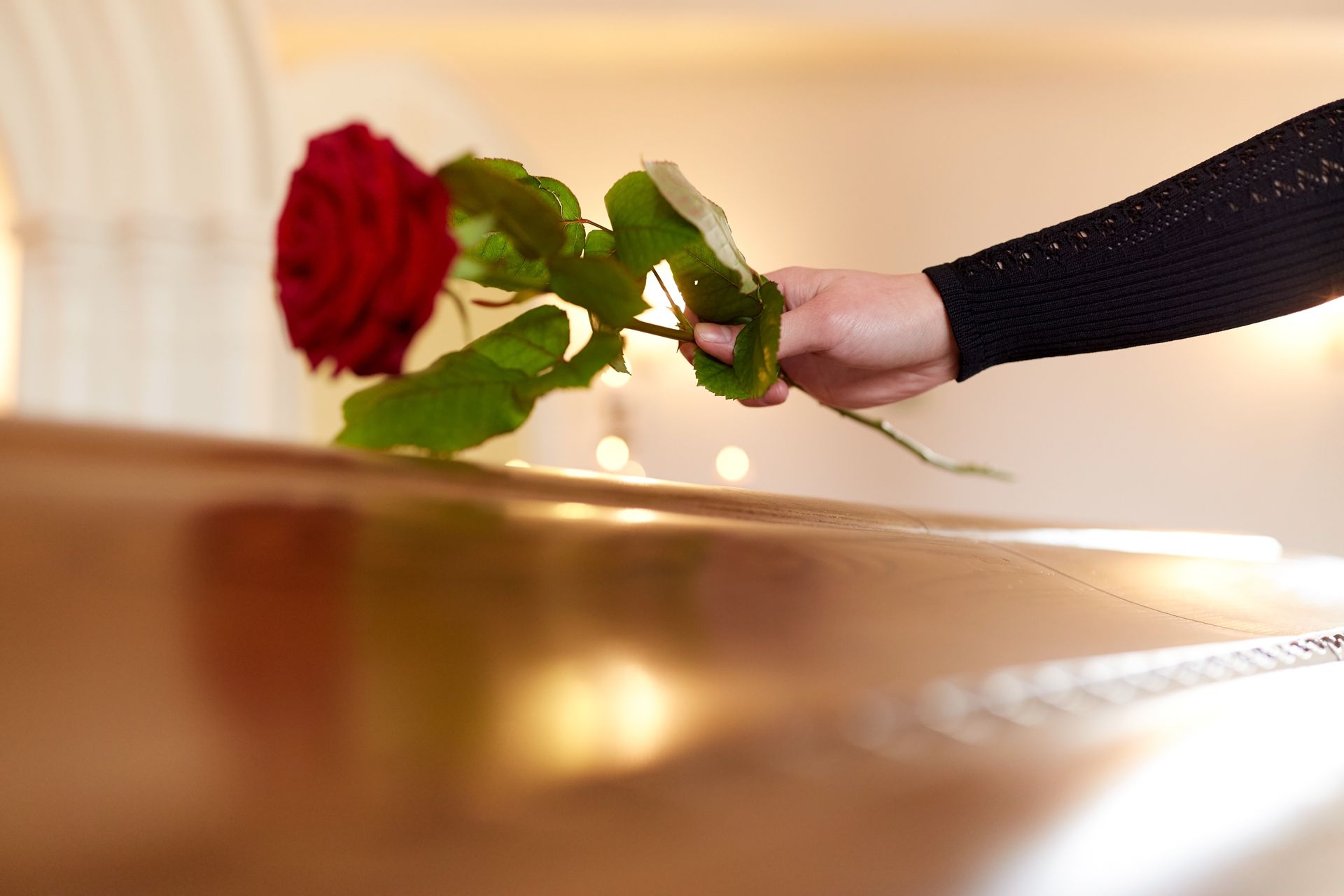 Mano che appoggia una rosa rossa sulla bara