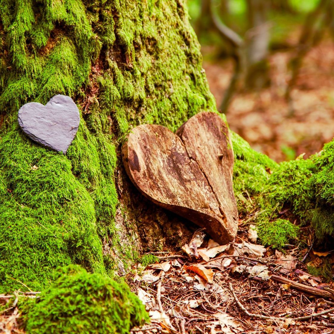 a close up of a sheet of music with a flower in the foreground