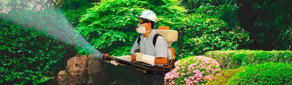 VECTOR FUMIGACIONES -  control de plagas